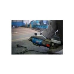 Bosch Winkelschleifer GWS 17-125 TS, Mit Zubehör